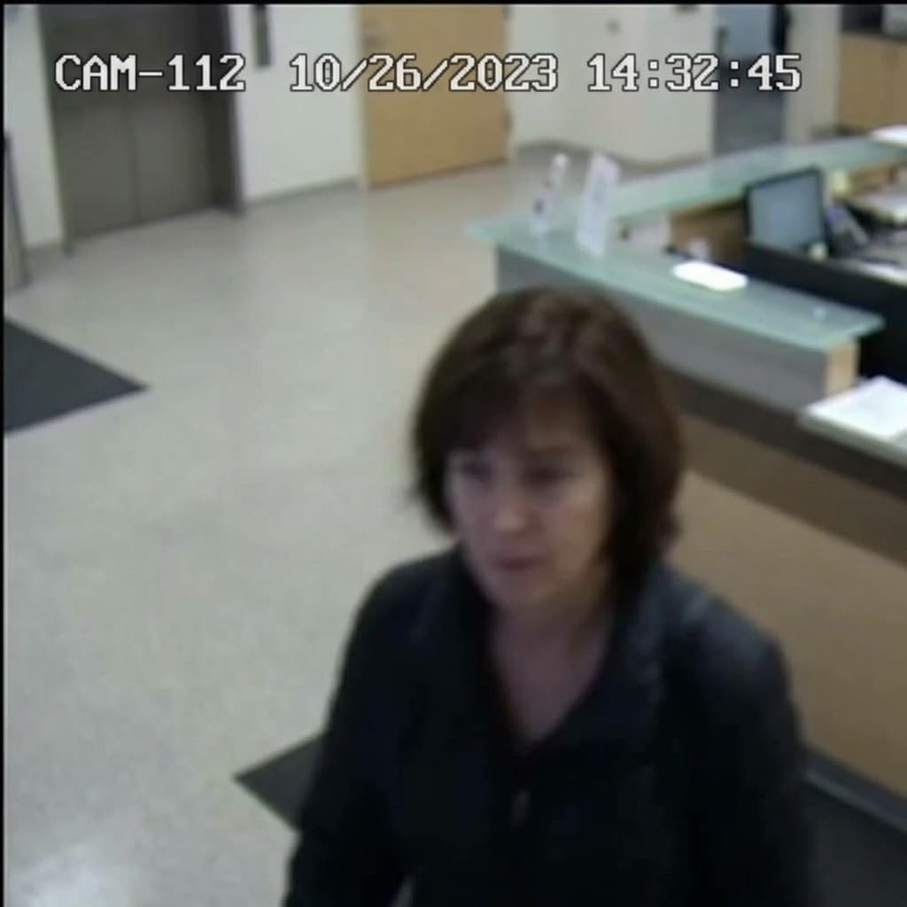 CCTV Subject Capture